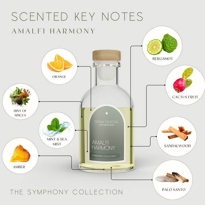 Cancella Diffusore Amalfi Harmony Reed - Collezione Symphony in vendita all'ingrosso su Faire6