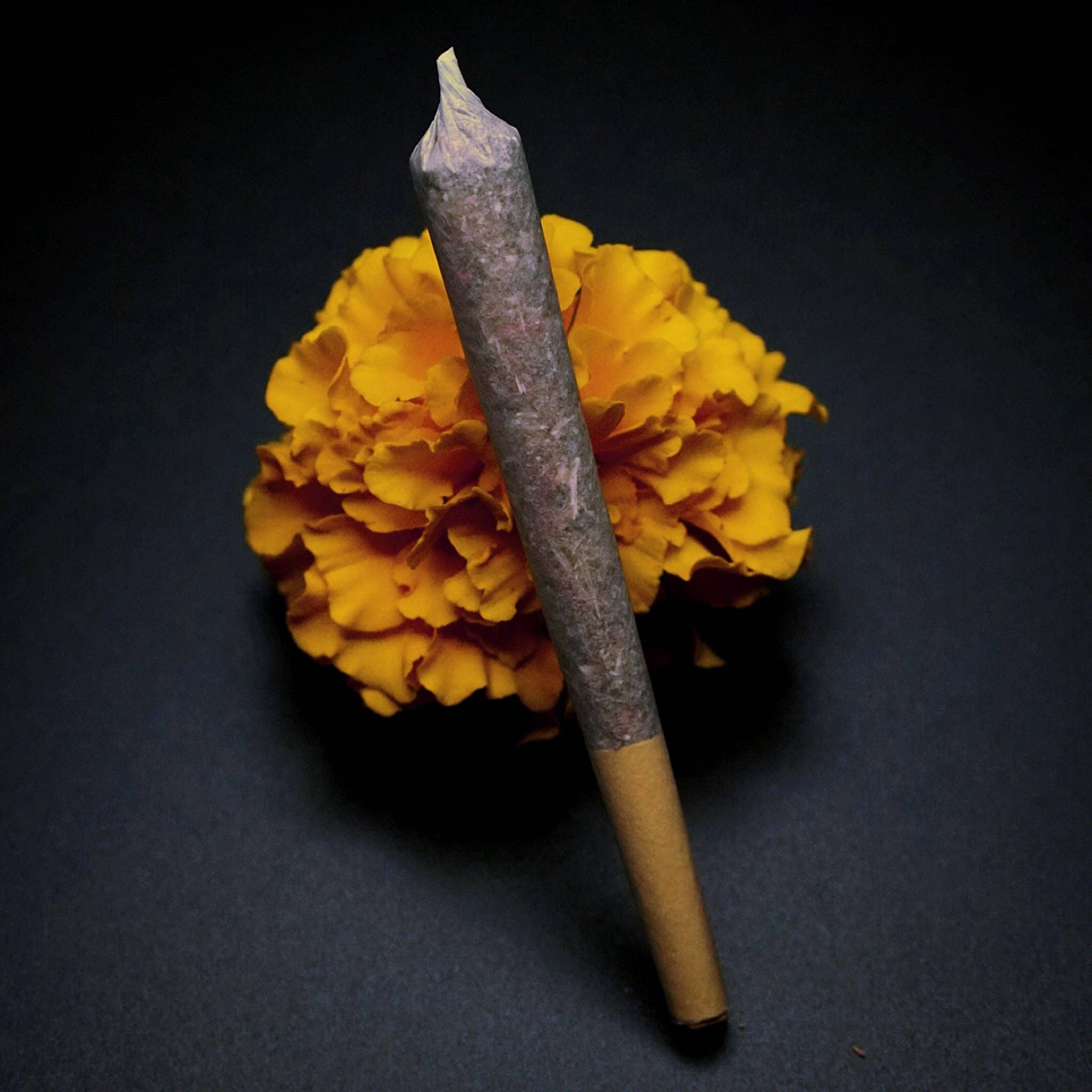 Botanigoods - Wholesale Loose Tea - Vitality0