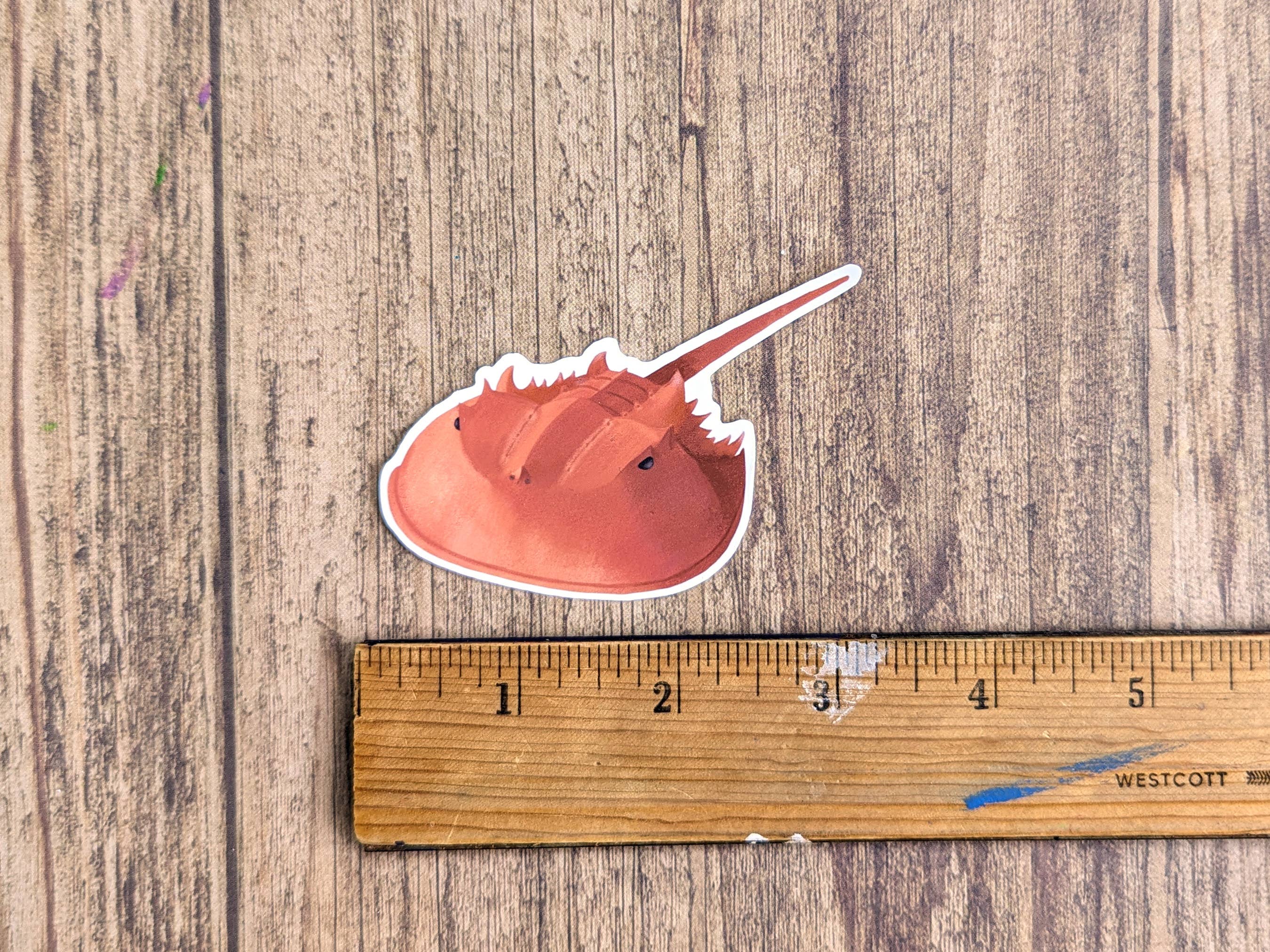 Proper Wolf - Wholesale Sticker - Horseshoe Crab Vinyl Sticker Decal1