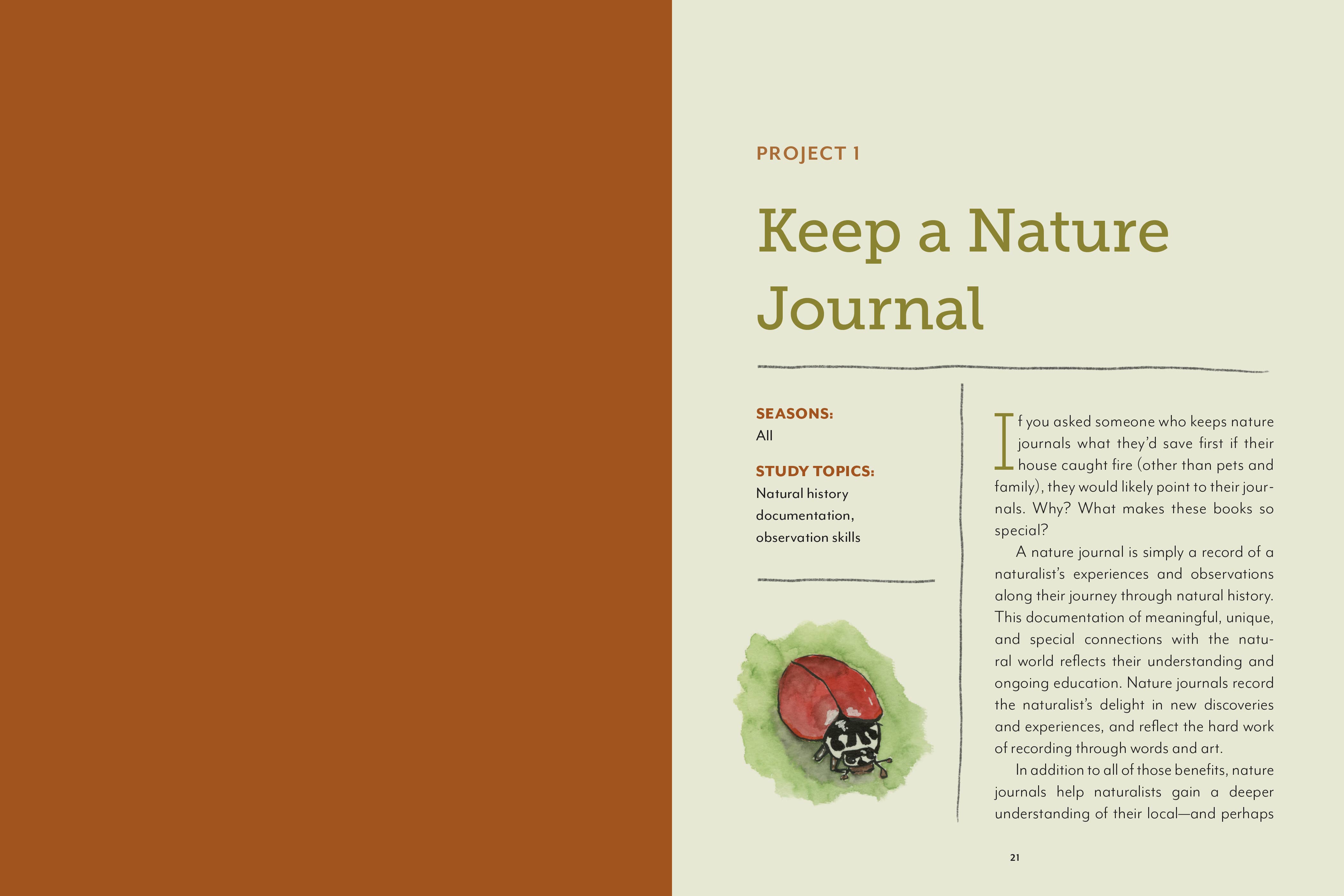 Mountaineers Books - Wholesale Nature & Outdoors Book - The Naturalist at Home3