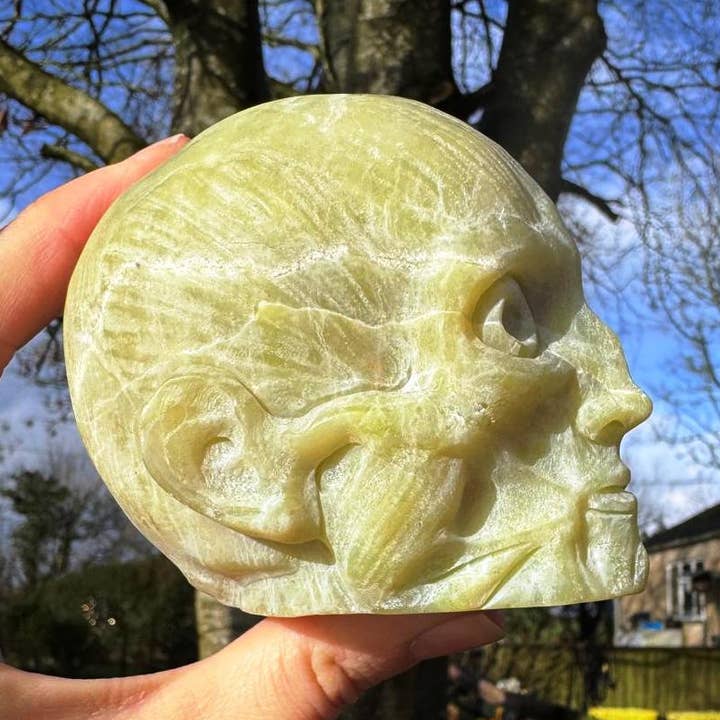 Goth skull medical skull called Mordred as shown by Elf gems for wholesale by Elf Kendal Hippies