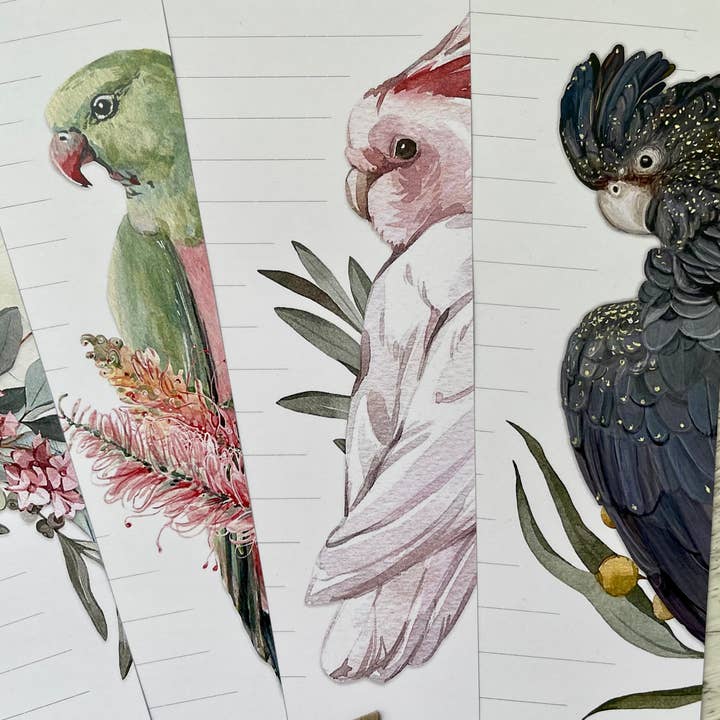 Scattered Seed Co - Wholesale Stationery/notecard set - AUSTRALIAN BIRDS PROFILE Letter Writing Paper Set5