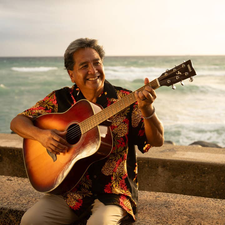 Pineapple Panel Aloha Shirt for wholesale by Hilo Hattie