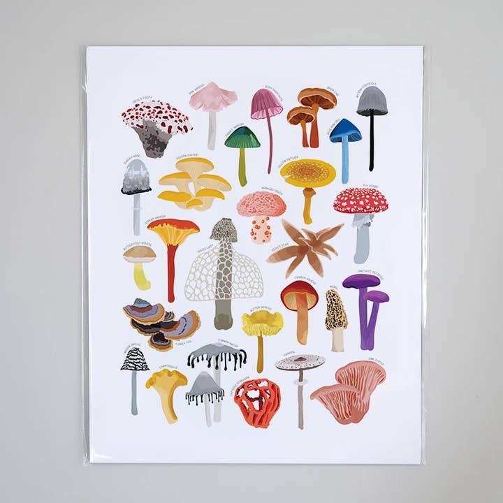 Types of Fungi - Educational Nature Art Print for wholesale by Beehive 95 Designs