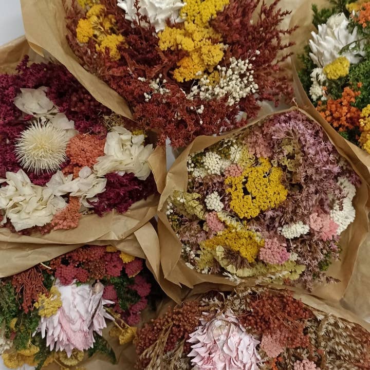 Concari.flores Preservadas – Großhandel Getrocknete/gepresste Blumen – KONSERVIERTER STRAUSS