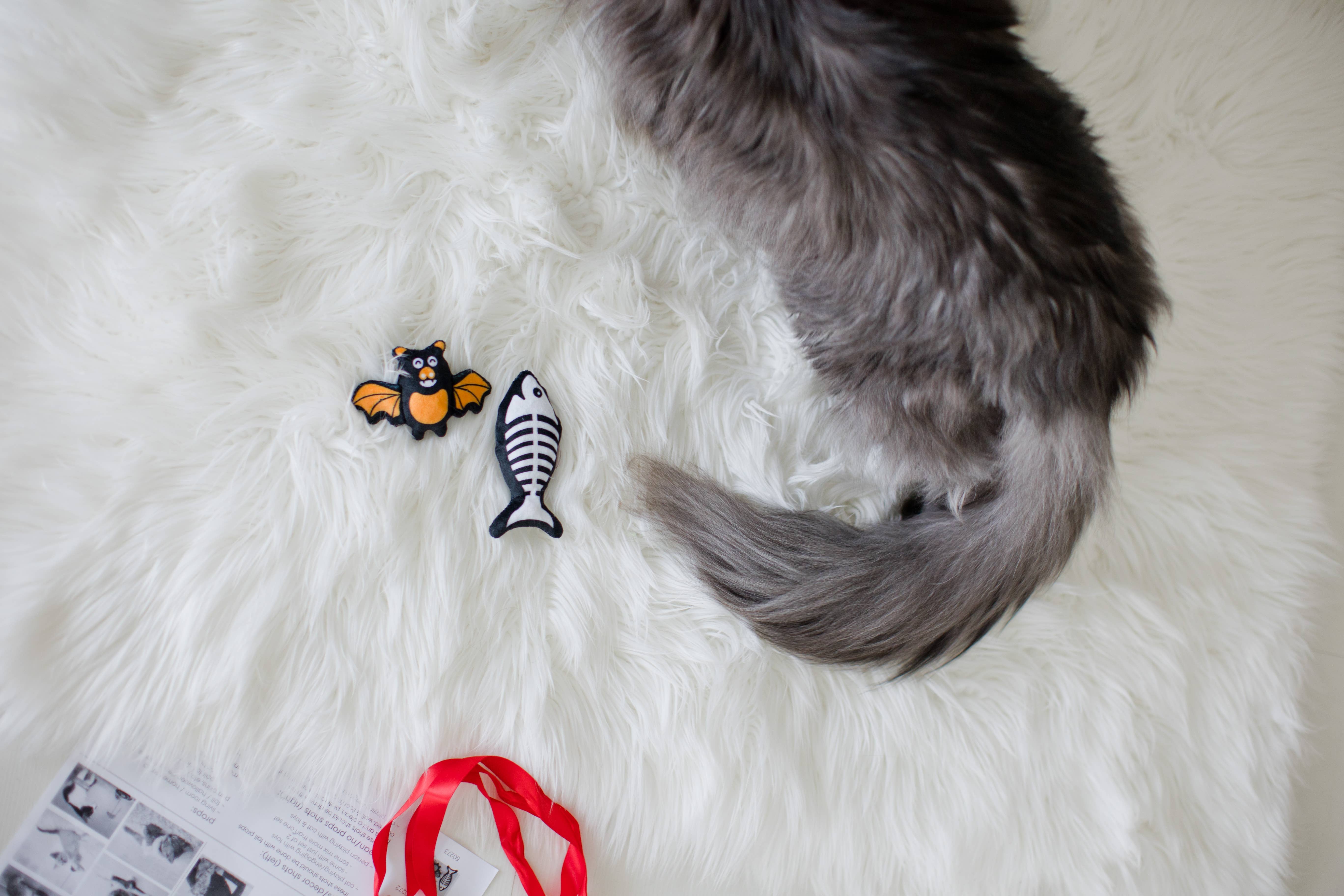 Pearhead - Wholesale Pet Toy Set - Cat - Bat & Fish Skeleton Halloween Cat Toys, Set of 25