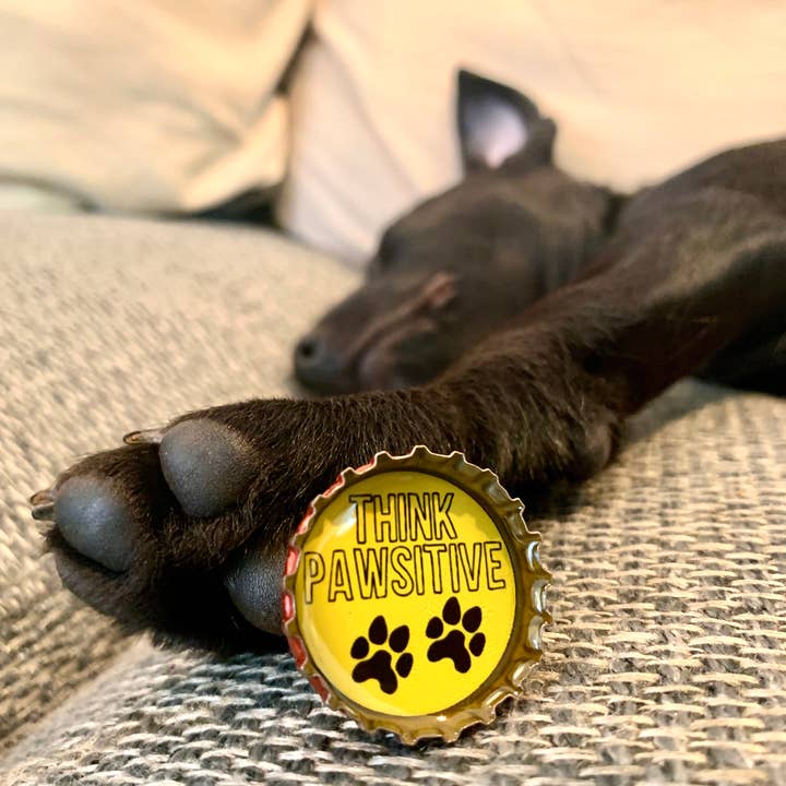 Kate's Magnets - Wholesale Magnet - Dog Lover Magnets - Fun, Handmade & Eco-friendly5