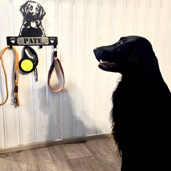 Gancho de Parede para Raças de Cães por atacado de Teraskyltit.fi