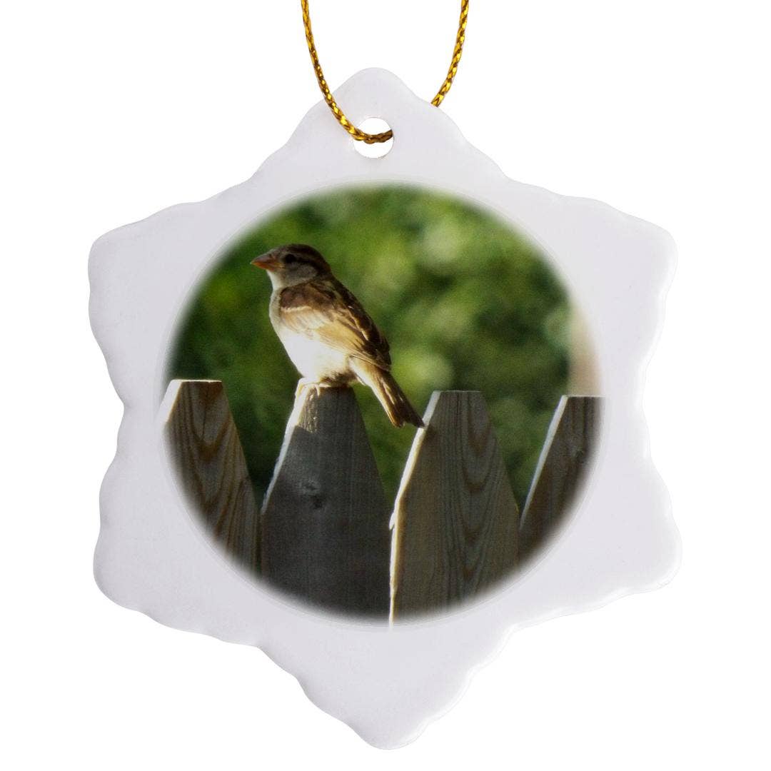 3dRose - Wholesale Ornament - 3dRose, Cute Little Sparrow On Fence, Ornament0