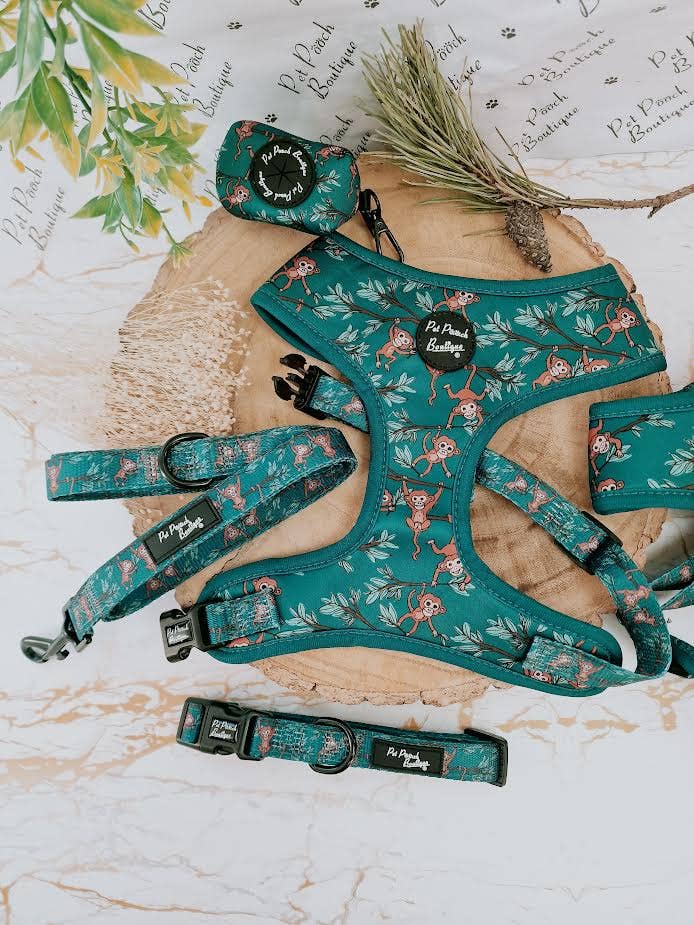 Pet Pooch Boutique – Engroshandel Halsbånd - Hund – Fræk Abe Hvalp eller Hundehalsbånd3