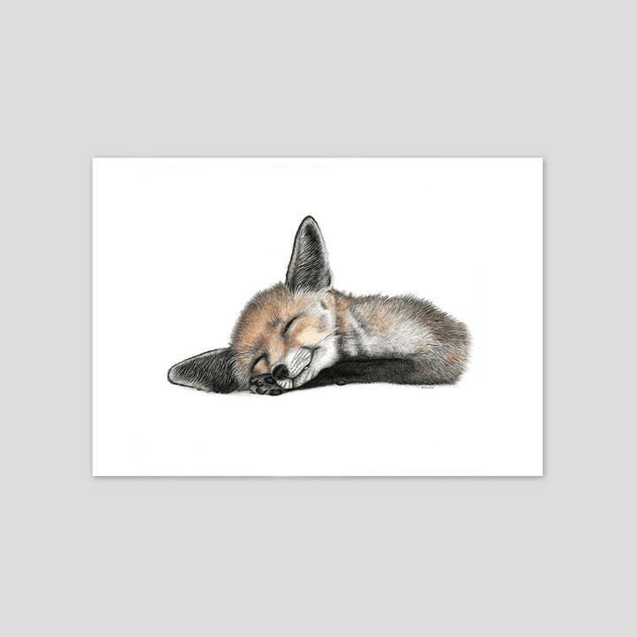 Felix - Stampa d'arte di alta qualità per la vendita all'ingrosso da parte di Charlotte Nicolin