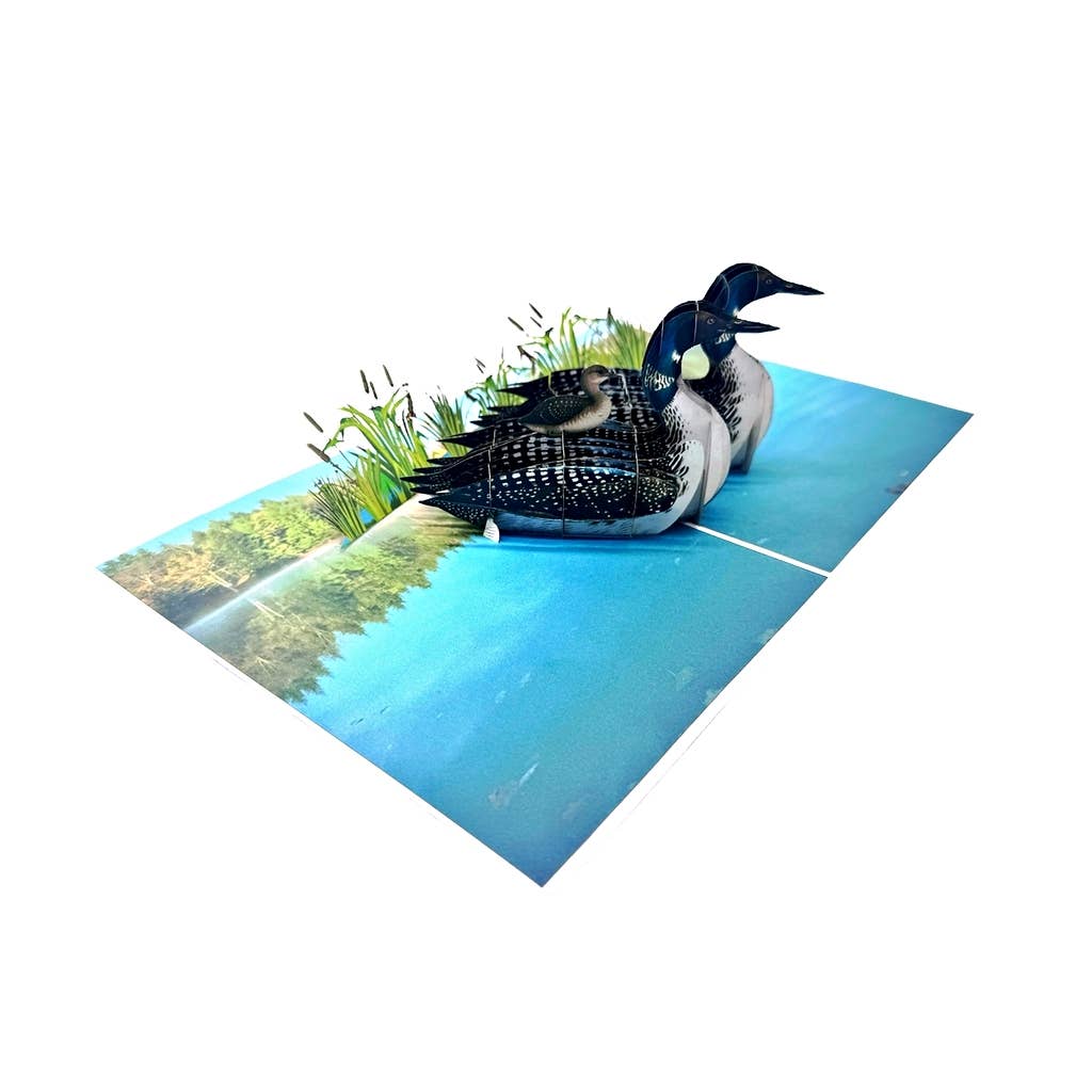 Wonder Paper Art - Wholesale Gewone wenskaart - Loon Familie Pop-up Kaart3