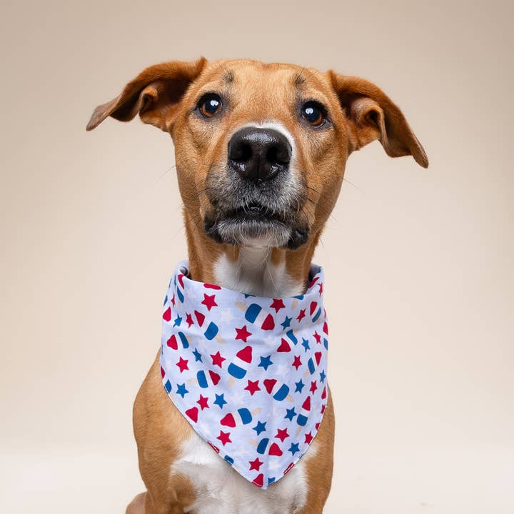 The Paws - Wholesale Pet Bandana - Dog - Pop Dog Bandana