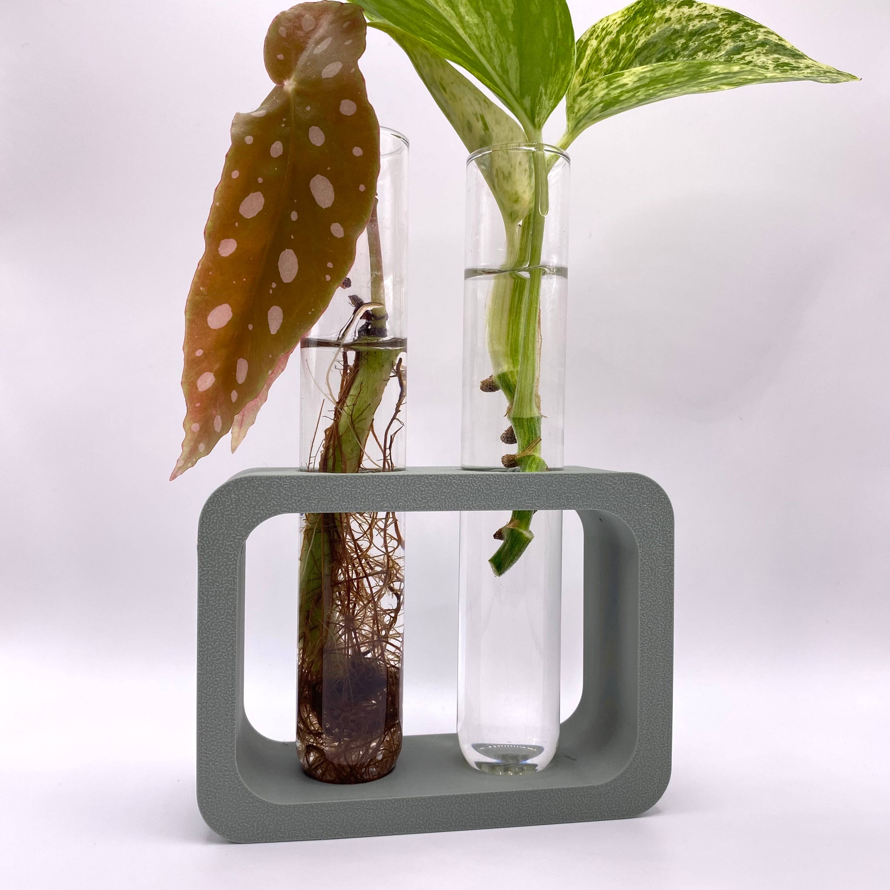 Plant Voyage - Vendita all'ingrosso Vasi per piante - Stazione di Propagazione Doppia Stampata in 3D, Accessorio per Piante4