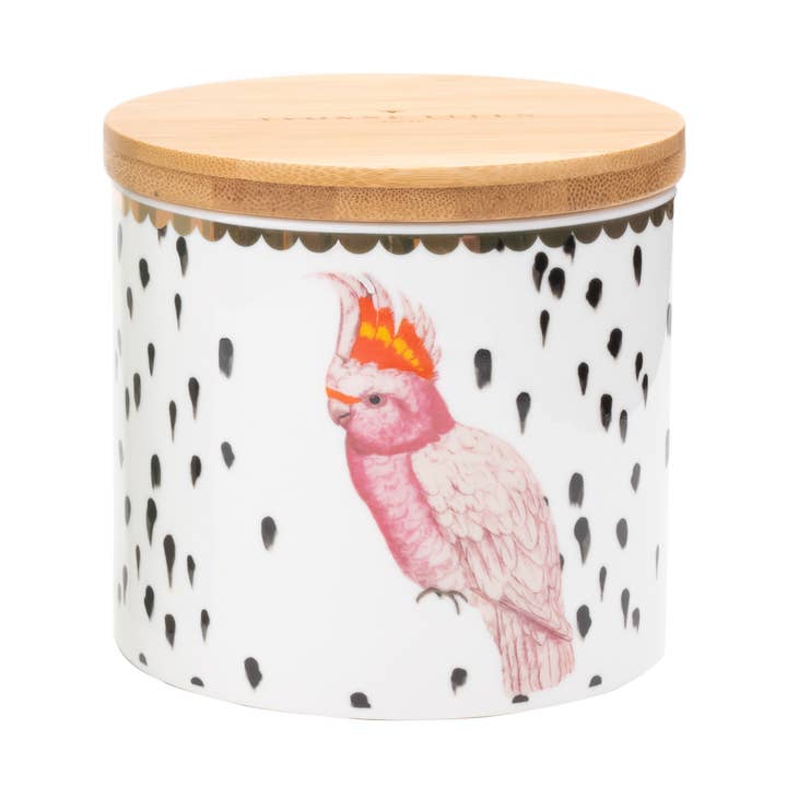 YE - Pot hermétique - S - Perroquet pour la vente par Yvonne Ellen