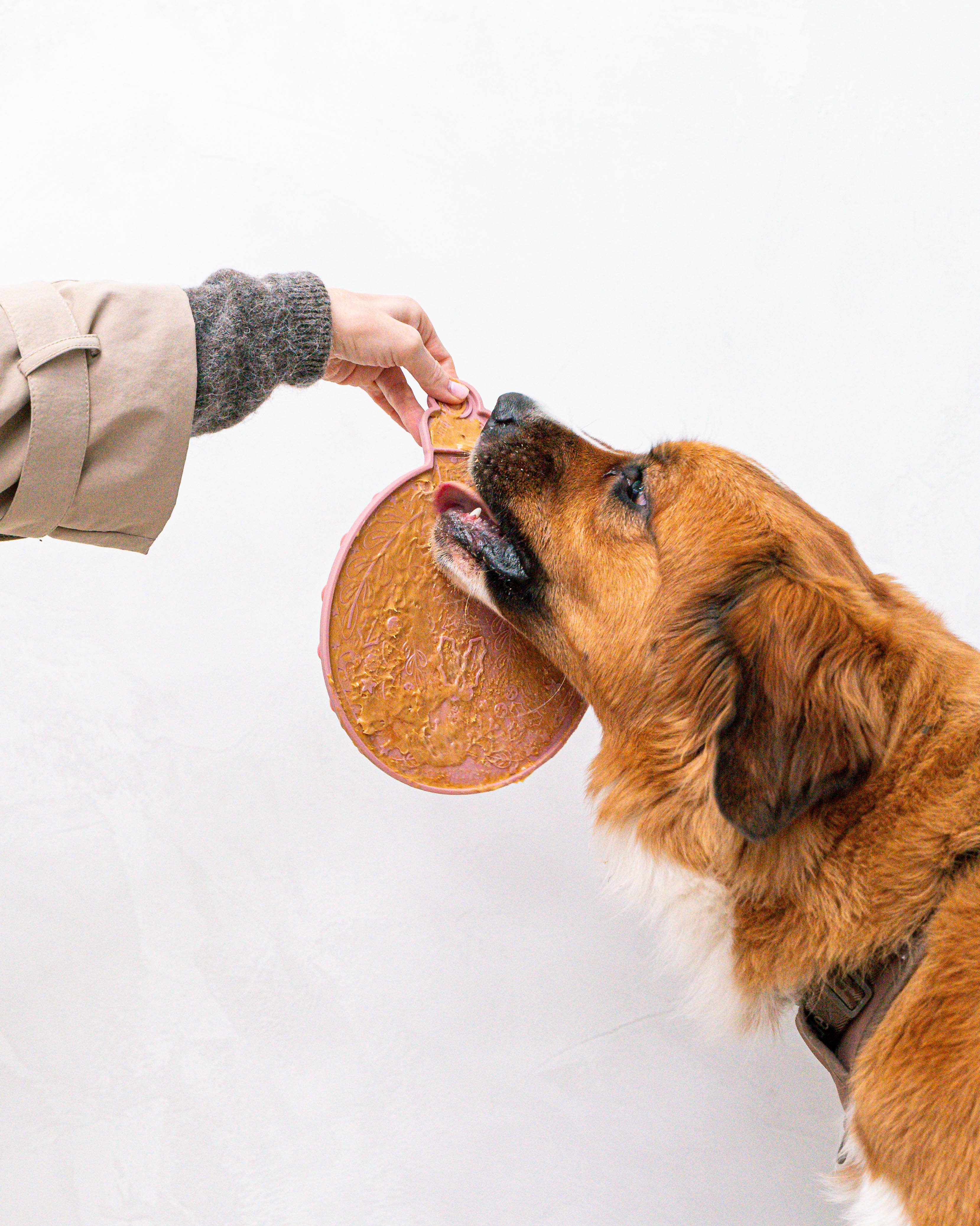 dexypaws - Wholesale Pet Food Mat - Dog - 2 Piece Ornament Lick Mat & Spatula Set4