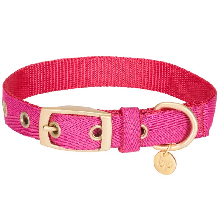 Blueberry Pet - Wholesale Pet Collar - Dog - The Most Coveted Metallic Thread Designer Dog Collar6