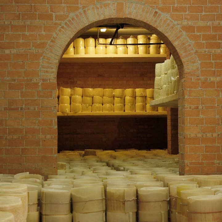 Nicola's Marketplace - Wholesale Cheese - Genuine Fulvi® Pecorino Romano DOP7