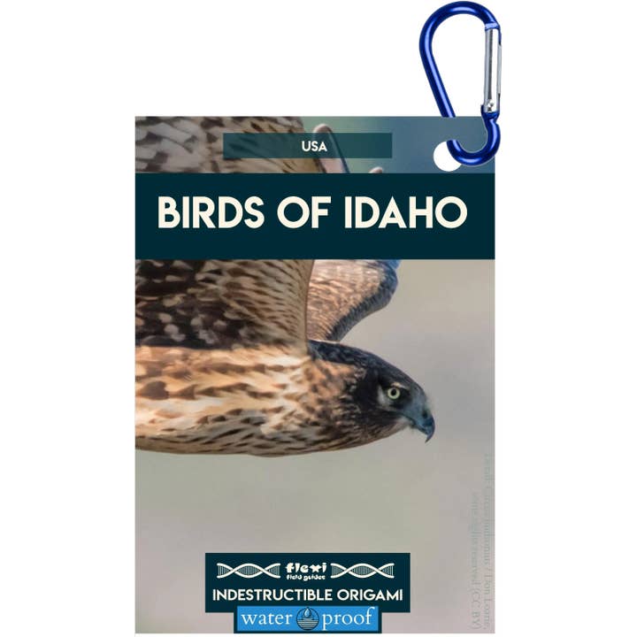 Fåglar i Idaho-Oförstörbar Origami för wholesale av Flexi Field Guides