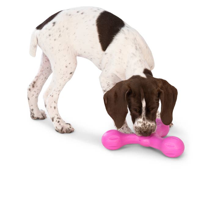 West Paw - Wholesale Pet Chew Toy - Dog - Skamp® Dog Toy for Play, Tug, and Fetch2