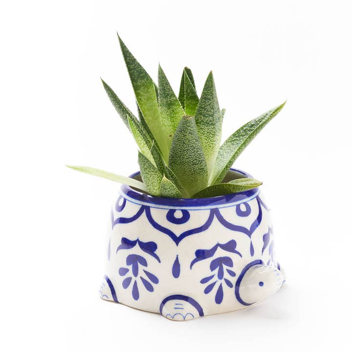 Matr Boomie Fair Trade - Wholesale Plant Pot - Lalita Mama Turtle Succulent Planter - Hand Painted0