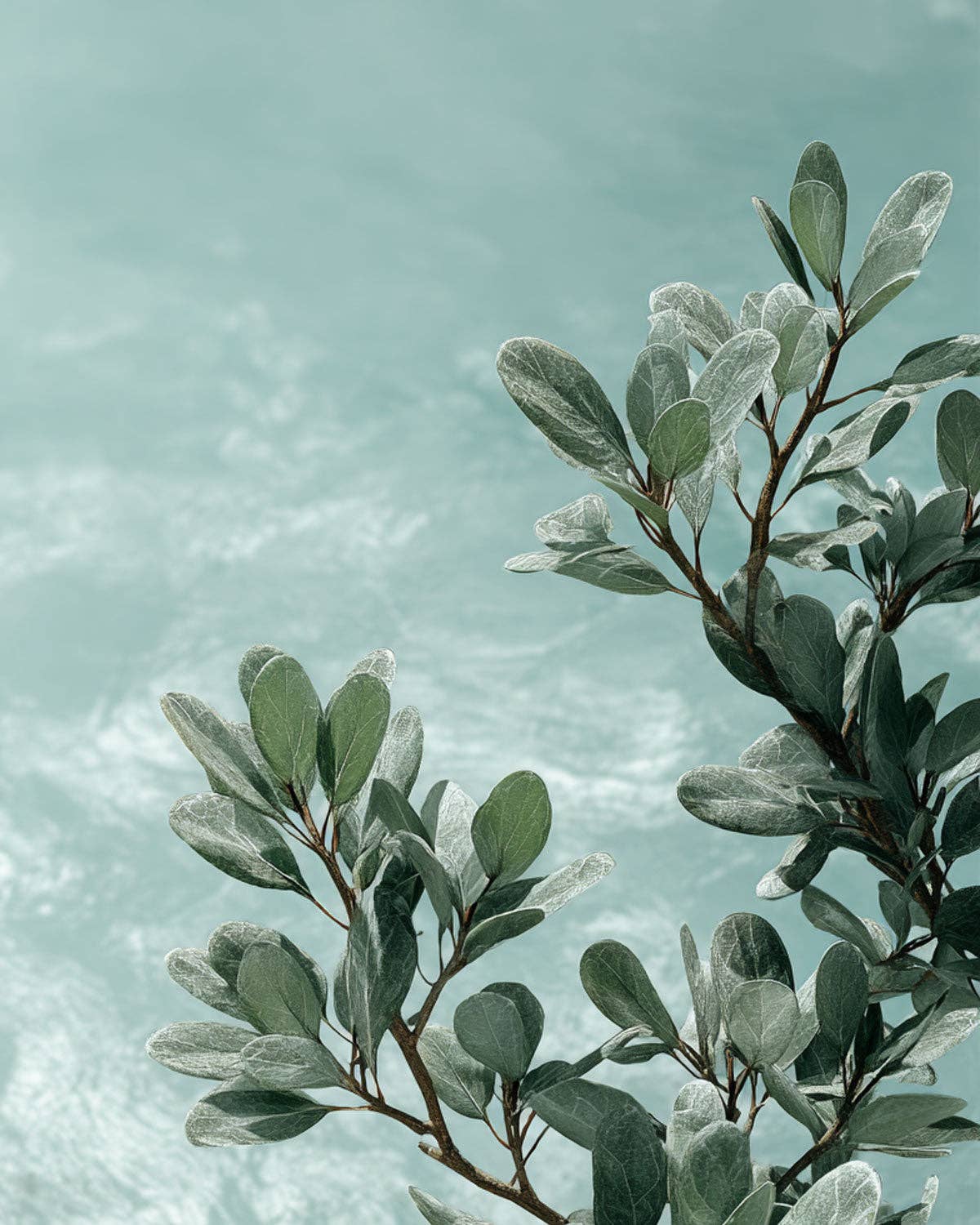 Laay - Wholesale Room & Linen Spray - ROOM SPRAY OCEAN DUST1