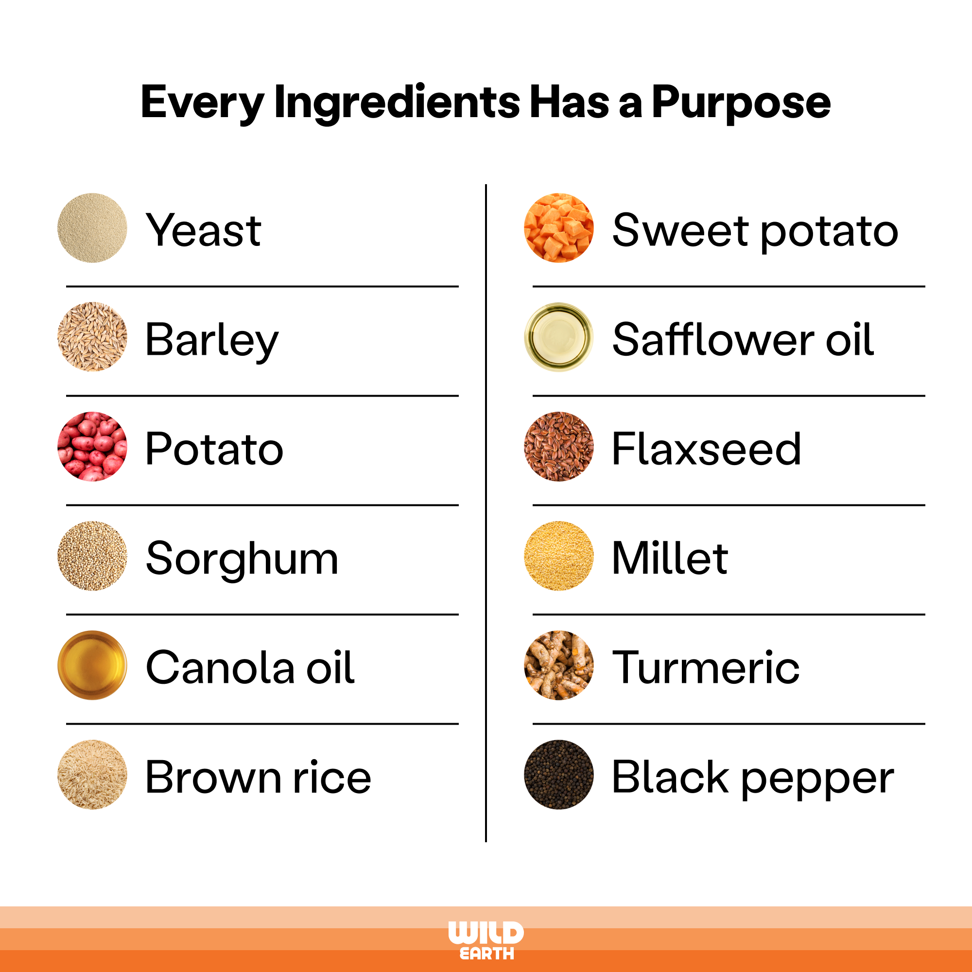 Wild Earth - Wholesale Pet Food - Dog - Maintenance Formula Dog Food, Classic Roast, 28lbs3