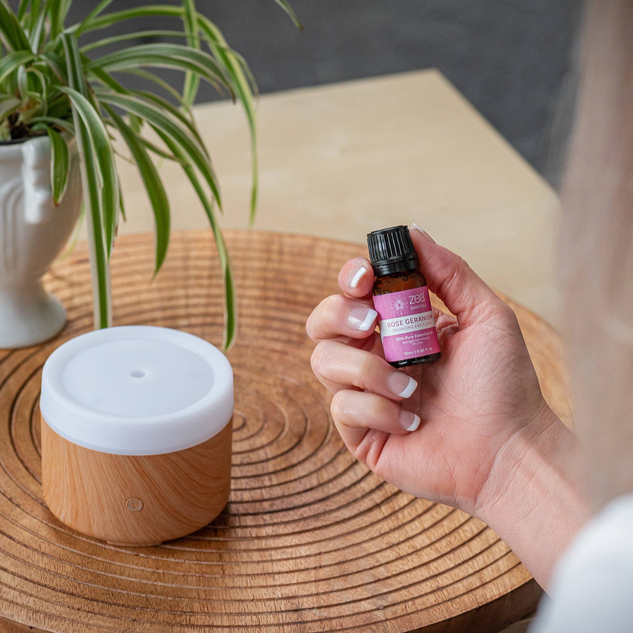 Zea - Wholesale Essential oil - Rose Geranium Essential Oil1