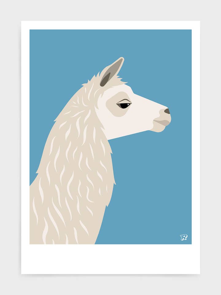 Lama per la vendita all'ingrosso da parte di Rocket Jack