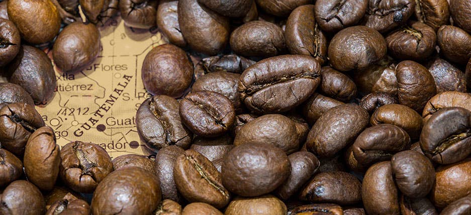 Staunton Coffee Company - Wholesale Coffee Beans - Guatemala