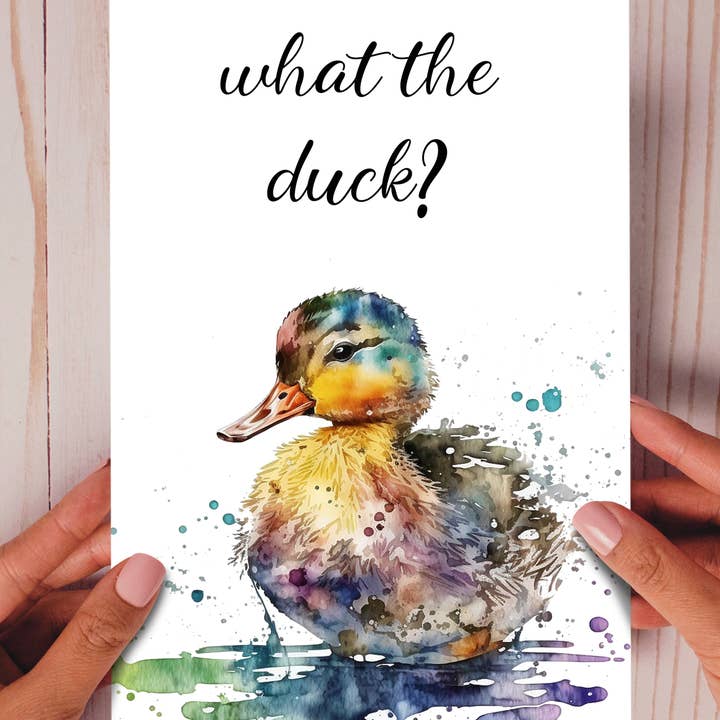 Homemade Hollydays Wholesale - Wholesale Everyday greeting card - What the duck? Eco-friendly Animal Funny duck card