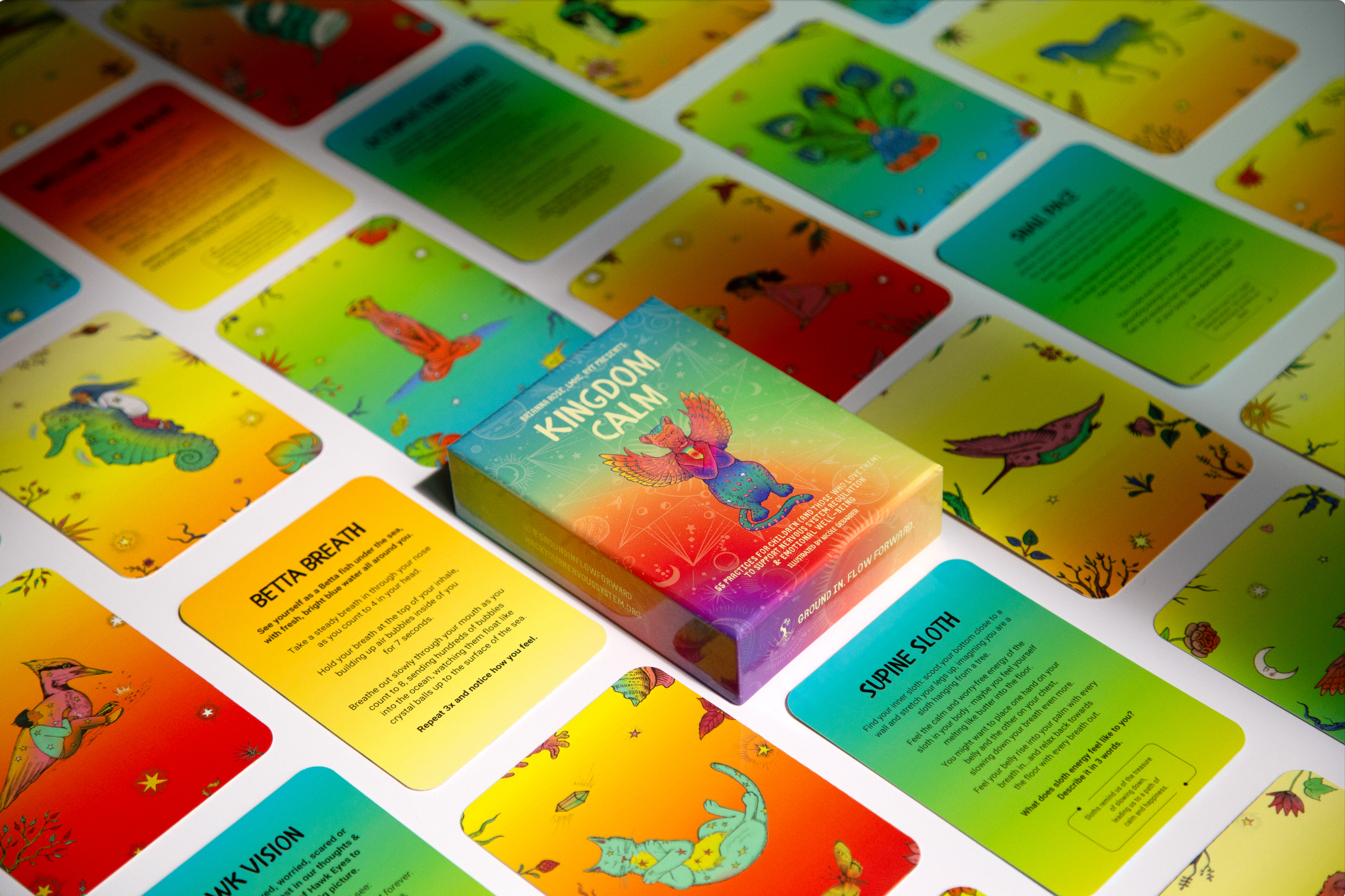 Hack Your Nervous System - Wholesale Learning Cards - Kids & Baby - Children’s Coping Skill Card Deck - Kingdom Calm 2.03