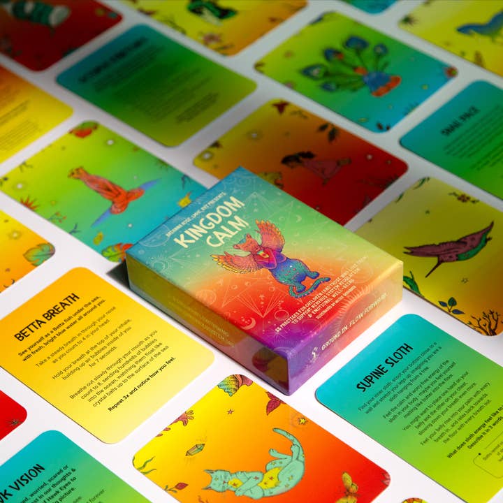 Hack Your Nervous System - Wholesale Learning Cards - Kids & Baby - Children’s Coping Skill Card Deck - Kingdom Calm 2.03