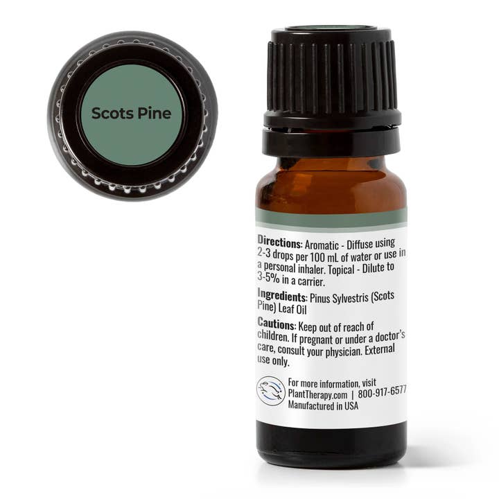 Plant Therapy - Vendita all'ingrosso Olio essenziale - Olio essenziale di pino silvestre 10 mL1
