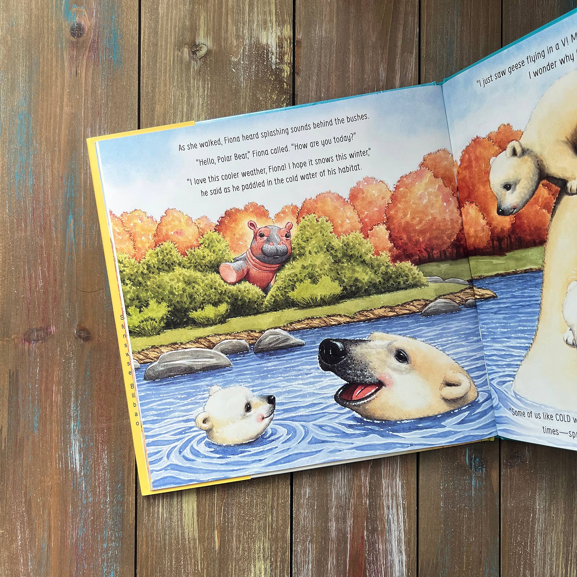 HarperCollins Christian Publishing - Wholesale Preschool Book (3-5) - You've Got This, Fiona4