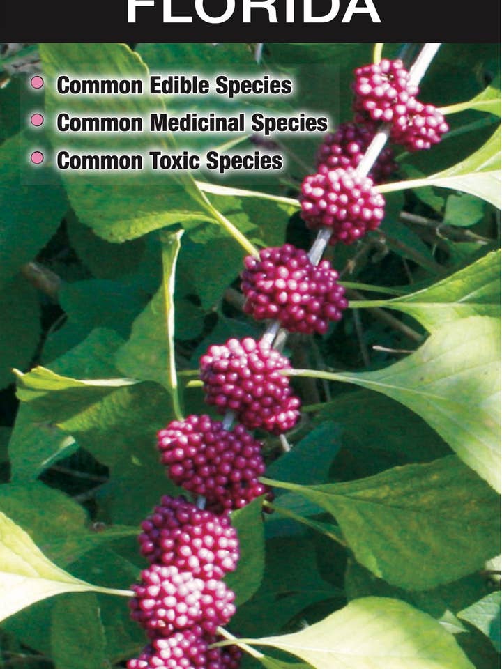 Edible and Medicinal Plants of Florida for wholesale by Quick Reference Publishing, Inc