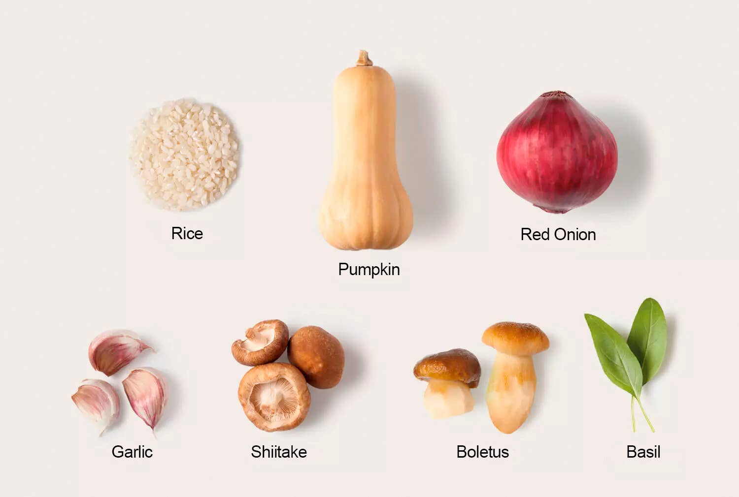 Trevijano - Vendita all'ingrosso Risotto - Risotto vegan con shiitake e porcini 280 g - pasto pronto3