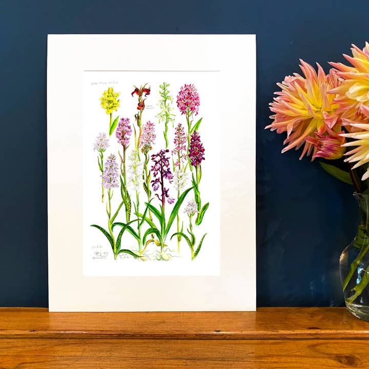Wildlife By Mouse – wholesale Konsttryck – Studie av vilda orkidéer Print