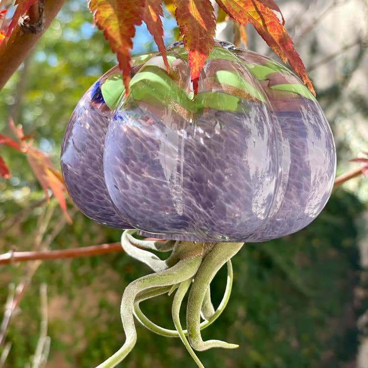 ApricotMint - Wholesale Hanging Planter - Cauliflower Jellyfish Air Plant Holder (plant not included)8