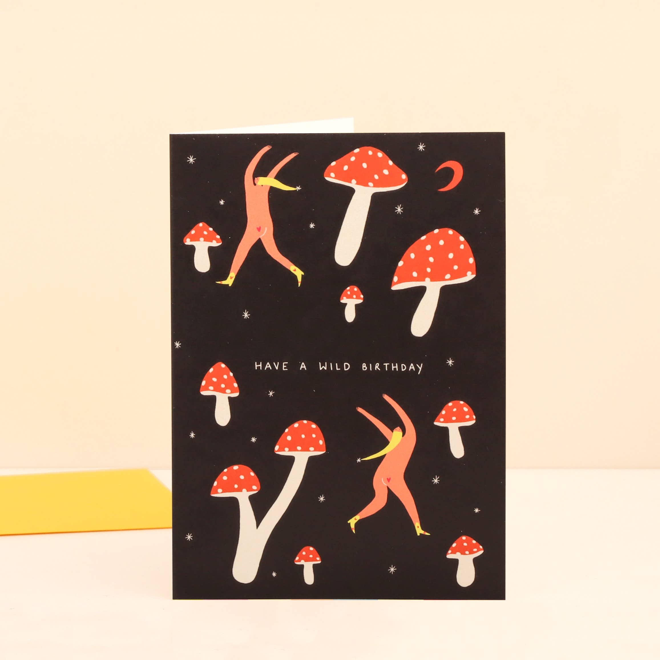 Little Black Cat Illustrated Goods - Vendita all'ingrosso Biglietti di auguri - Wild Birthday Card | Biglietto di compleanno Cheeky | Happy Birthday