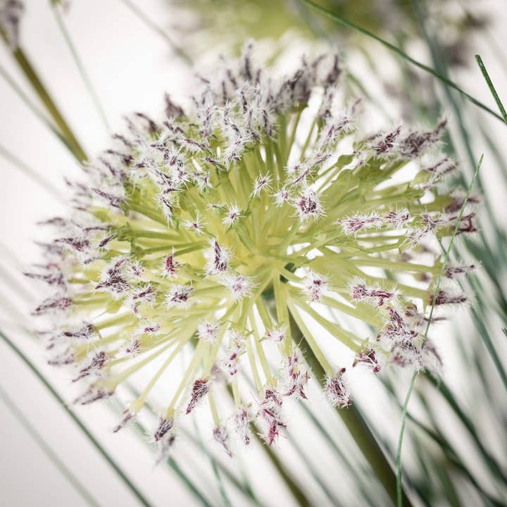 Sullivans Home Decor - Vente Plantes artificielles - Herbe Verte Moyenne en Pot