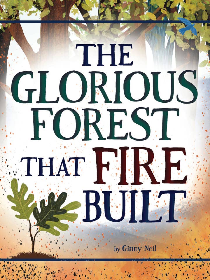 The Glorious Forest that Fire Built for wholesale by Amicus Publishing