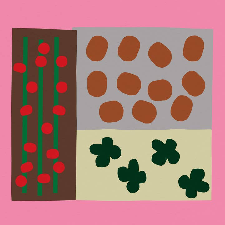 Surprise Radish - Wholesale Art Print - Raised Bed Print | Letter R Alphabet Print2