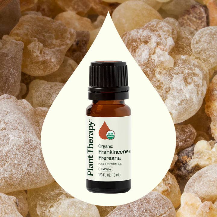 Plant Therapy - Wholesale Essential Oil - Organic Frankincense Frereana Essential Oil 10 mL1