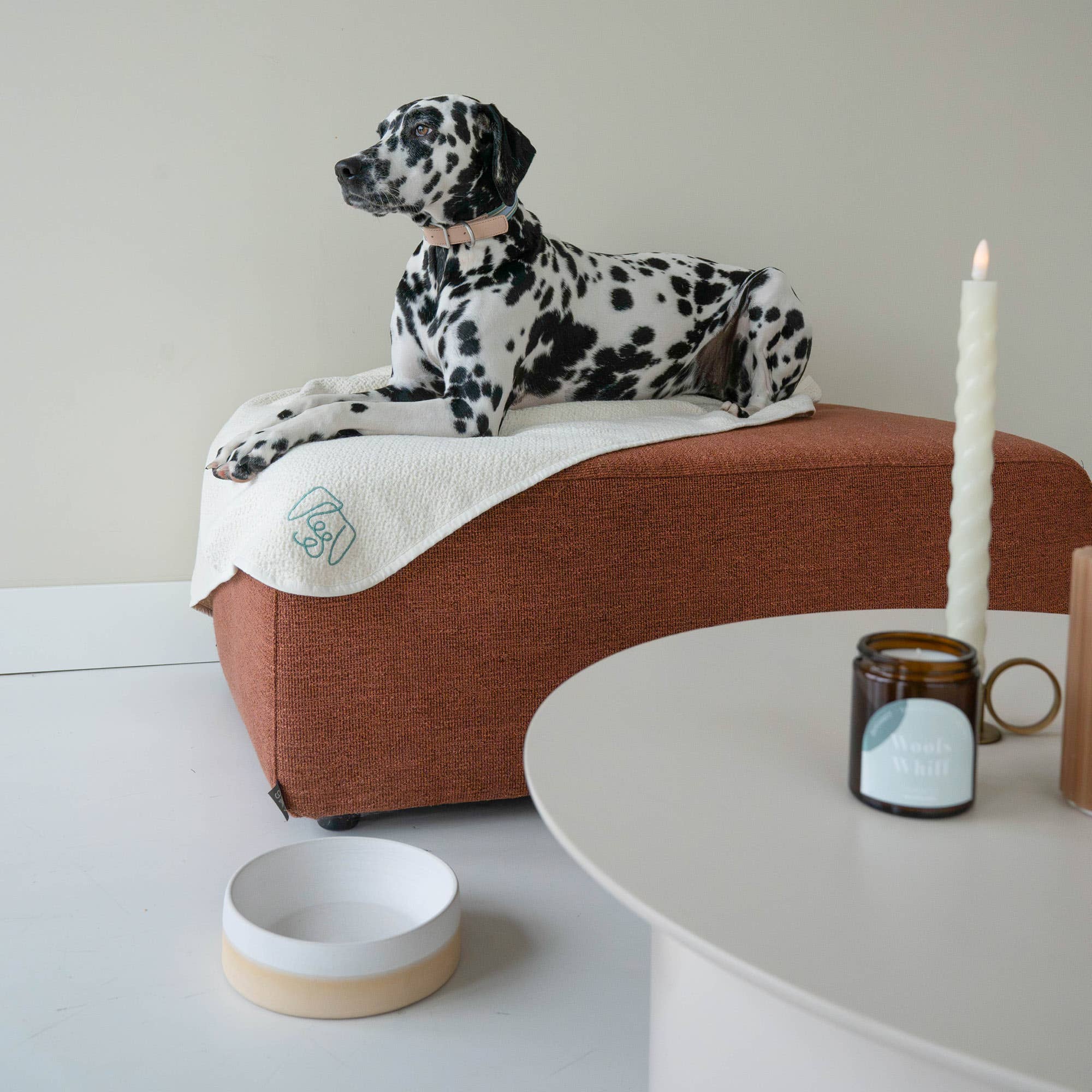 White ceramic Dog Food Bowl for wholesale on Faire1