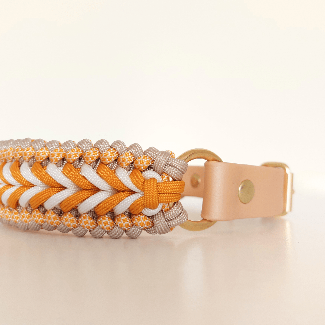 Truffe & Flair - Wholesale Pet Collar - Dog - Braided Dog Collar - Biothane/Paracord - Yellow3