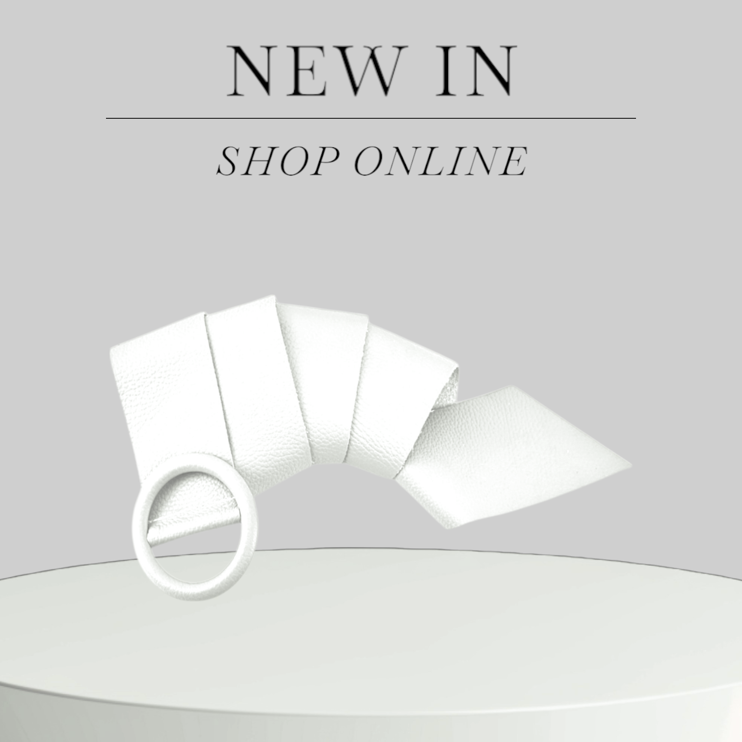 ITALIAN'S LEATHER – wholesale Belt – Women's – Claudia Cowhide Belt 22021826