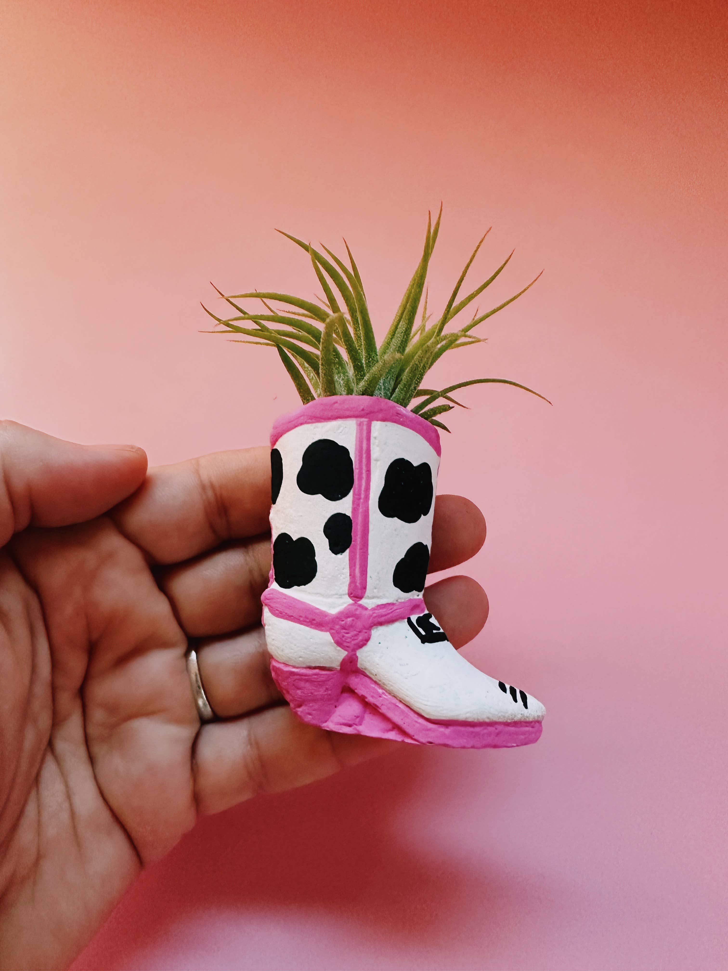 O'Berry's Succulents - Wholesale Live Plant - Cow Print Mini Western Boot Planter and Air Plant