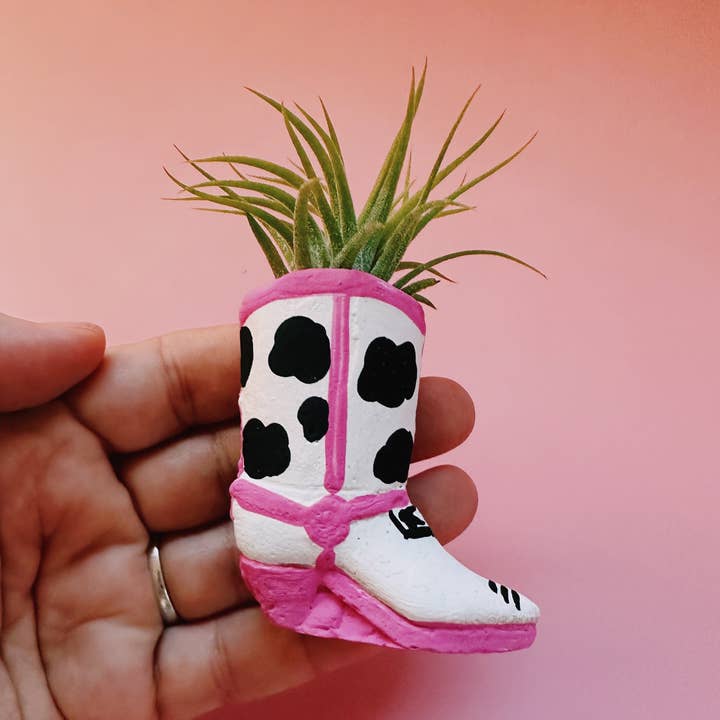 O'Berry's Succulents - Wholesale Live Plant - Cow Print Mini Western Boot Planter and Air Plant0