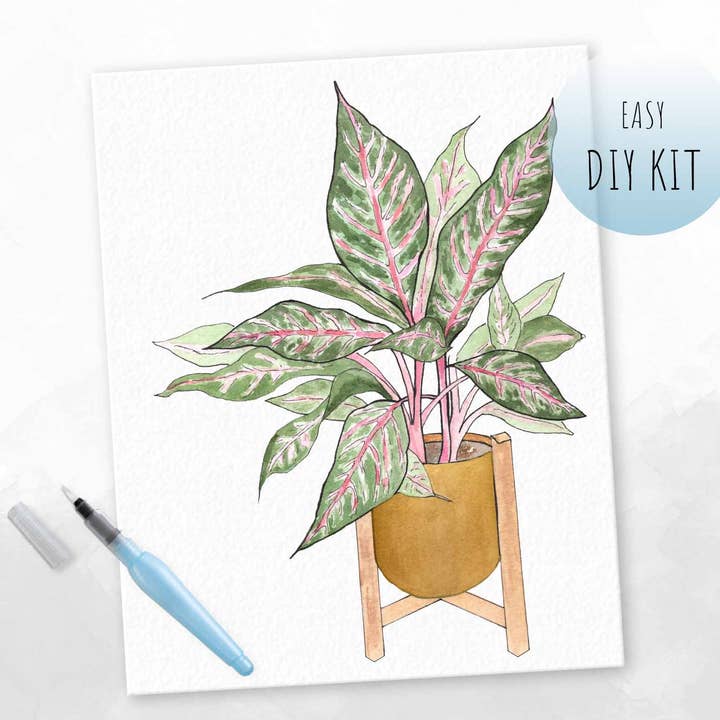 Pink Aglaonema Watercolor Kit for wholesale by Maya X Kiwi